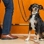 Victor's Residenz-hotel 4*