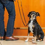 Hotel Victor's Residenz-hotel 4*