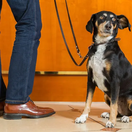 Victor's Residenz-hotel 4*