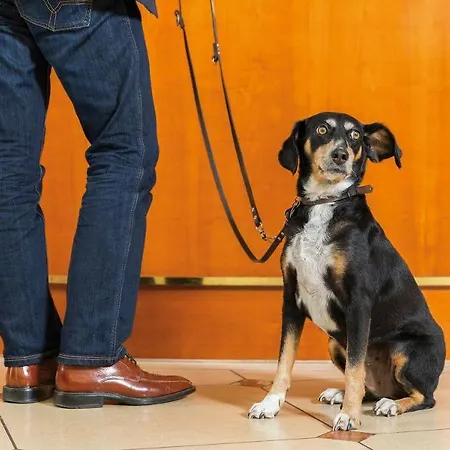 Hotel Victor's Residenz-hotel 4*