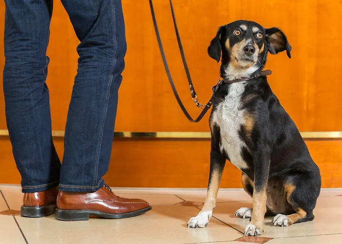 Victor's Residenz-hotel 4*