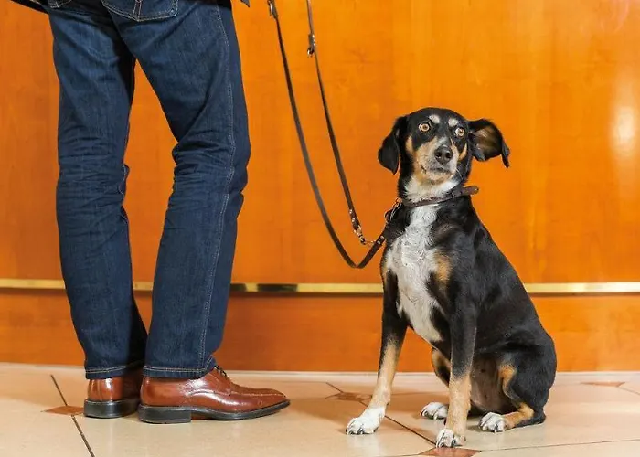 Otel Victor's Residenz-hotel 4*